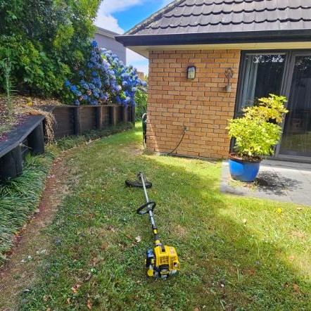 Garden project 1