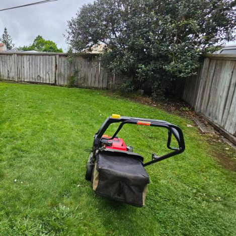 Garden project 5